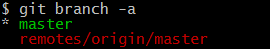 git branch -a